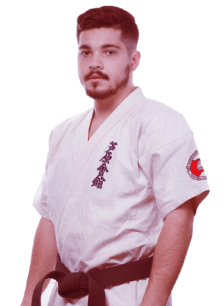 Martial arts secondary instructor